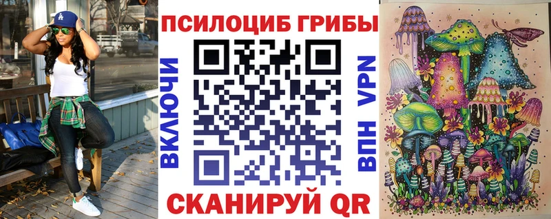 Псилоцибиновые грибы GOLDEN TEACHER  Звенигород 