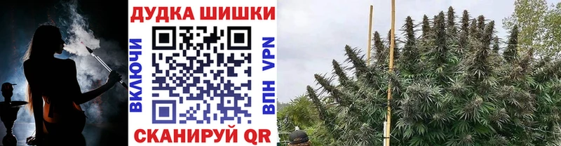 сколько стоит Звенигород Бошки Шишки VHQ